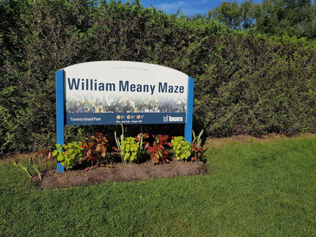 William Meany Maze, Toronto