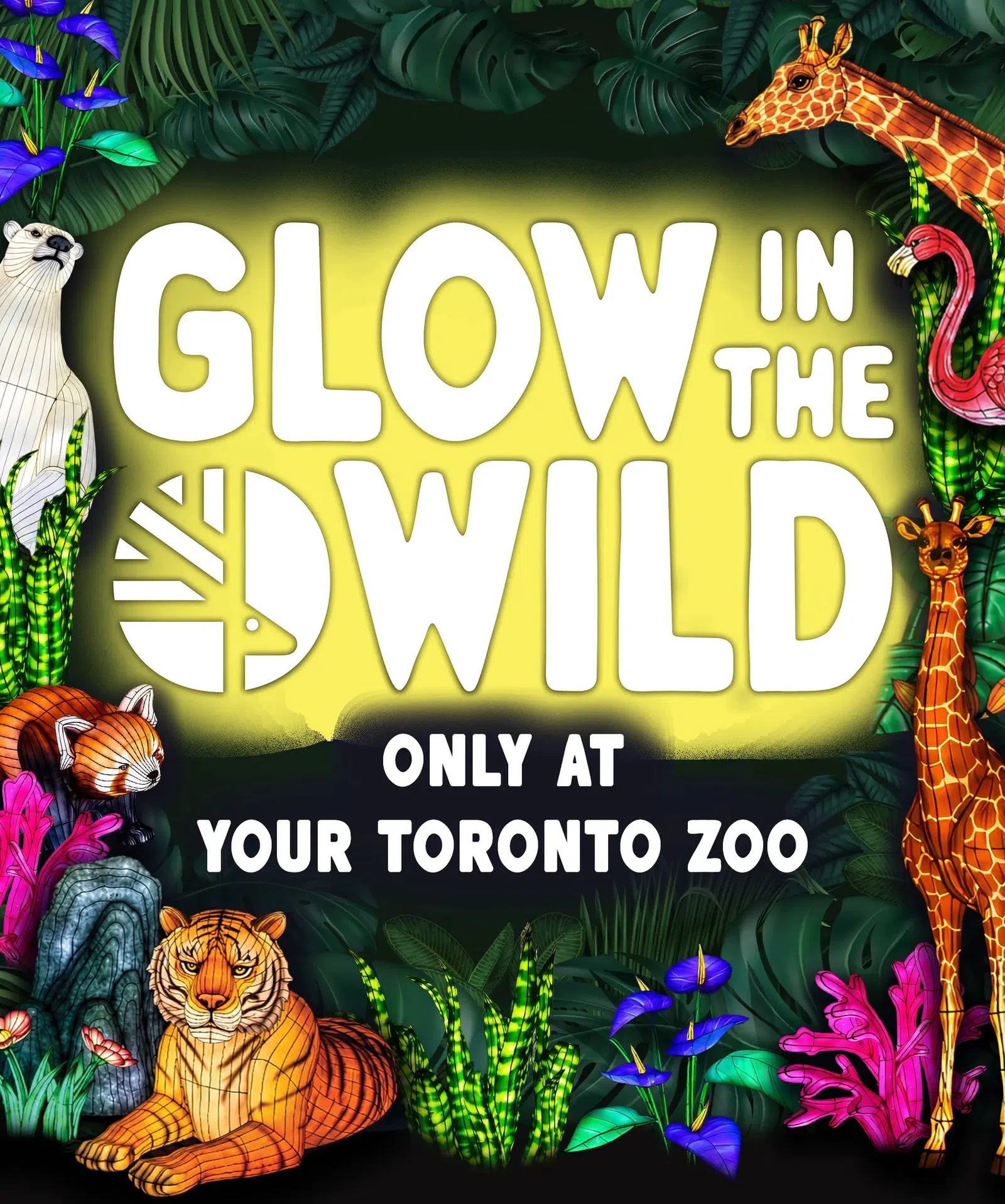 Toronto Zoo — Glow in the Wild, Toronto