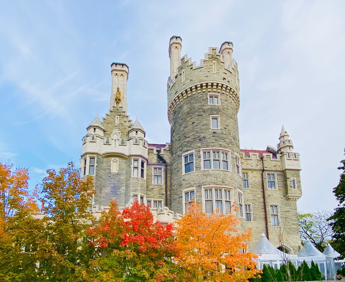 Casa Loma — photo 3