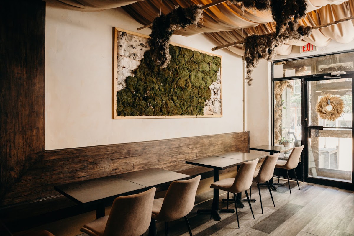 Hawker, Toronto