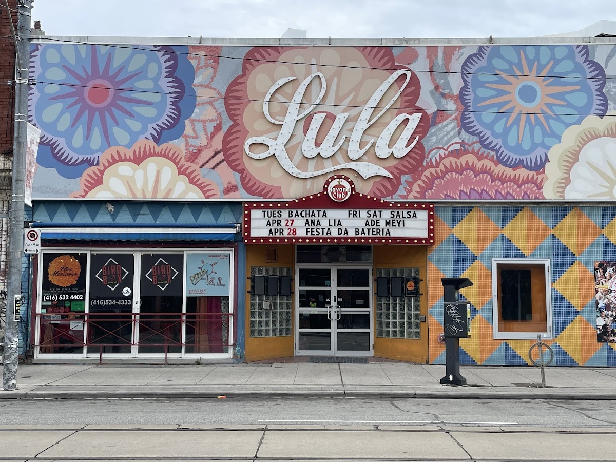 Lula Lounge — photo 3