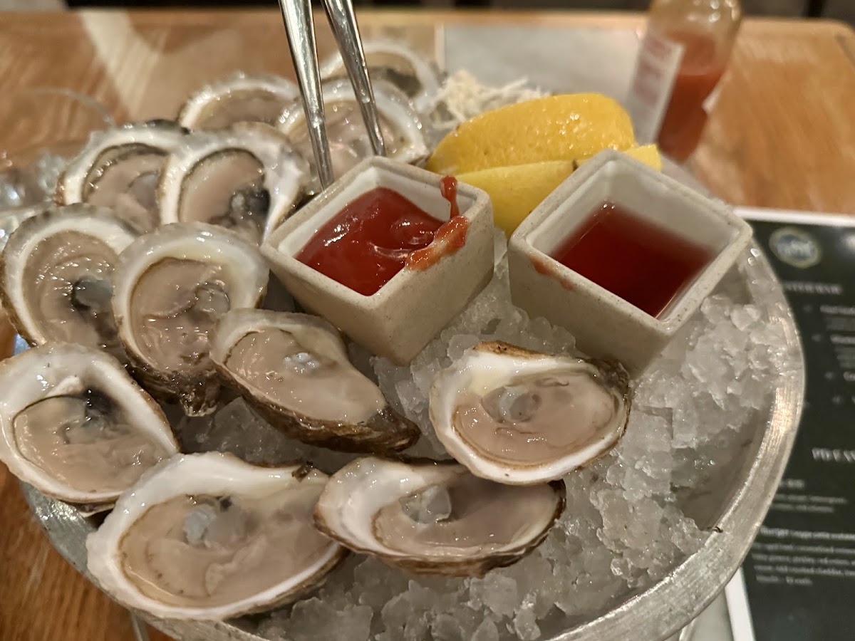 Pearl Diver — photo 4