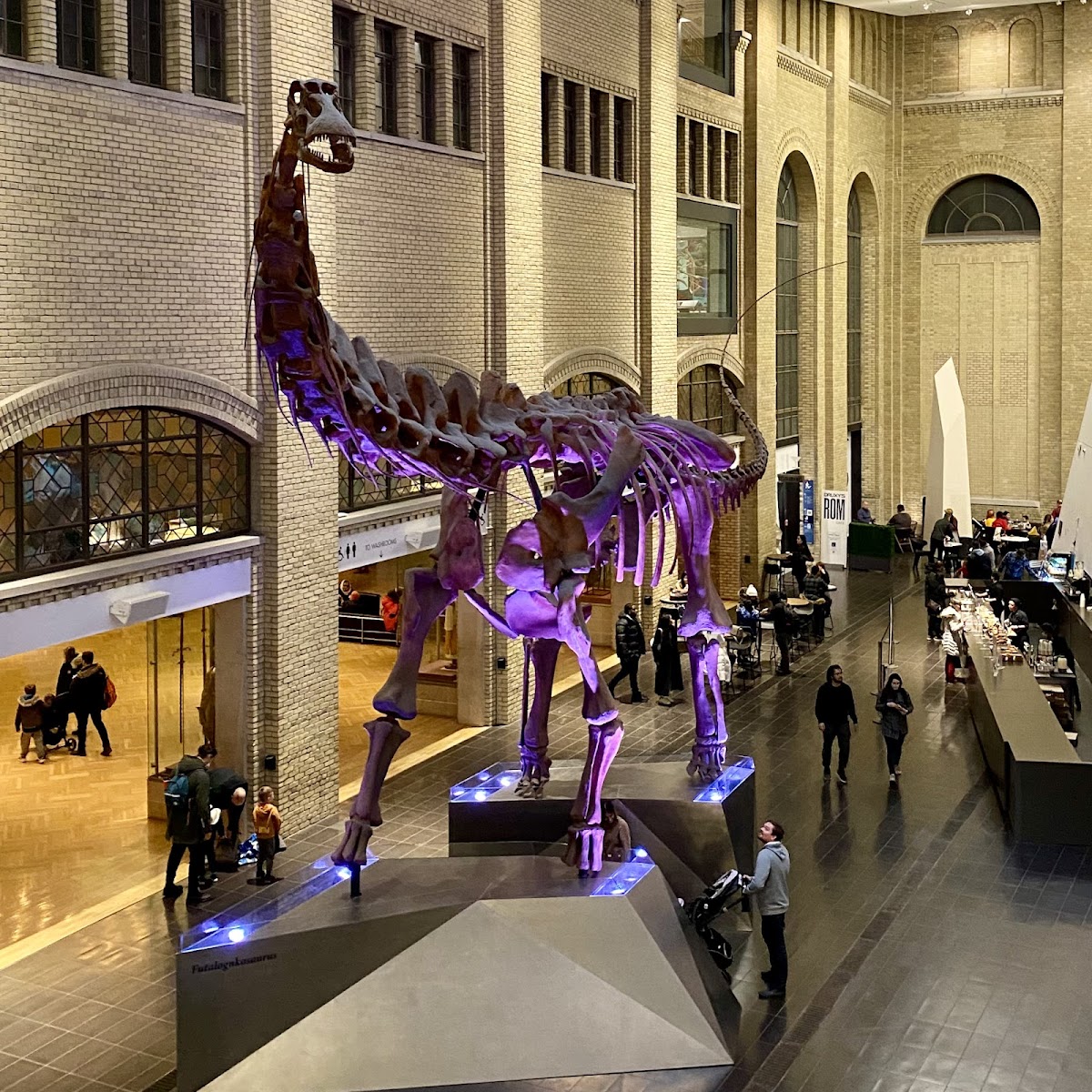 Royal Ontario Museum (ROM) — photo 4