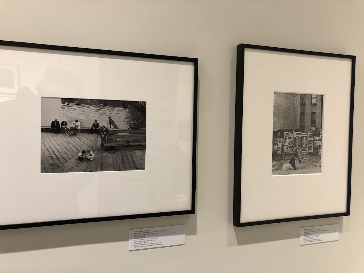 Stephen Bulger Gallery — photo 2