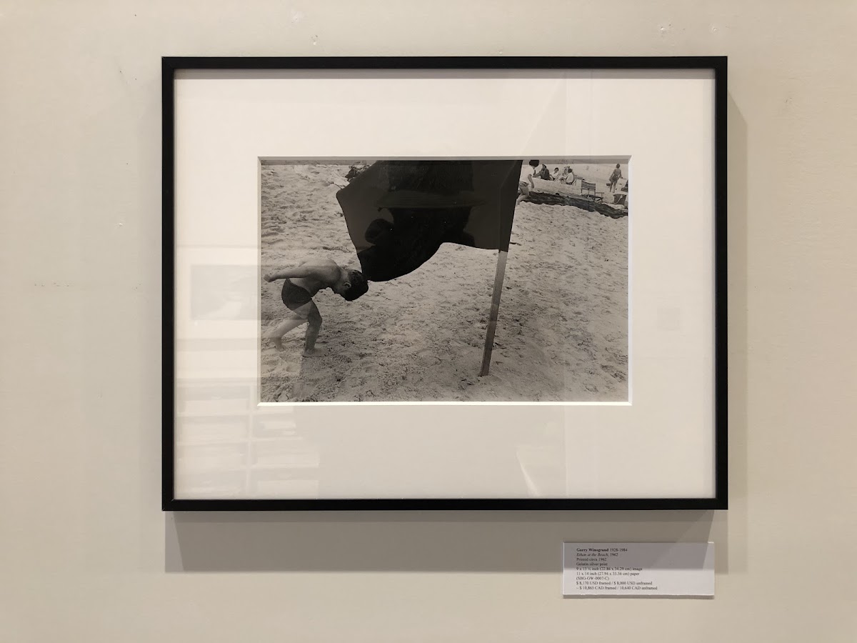 Stephen Bulger Gallery — photo 4