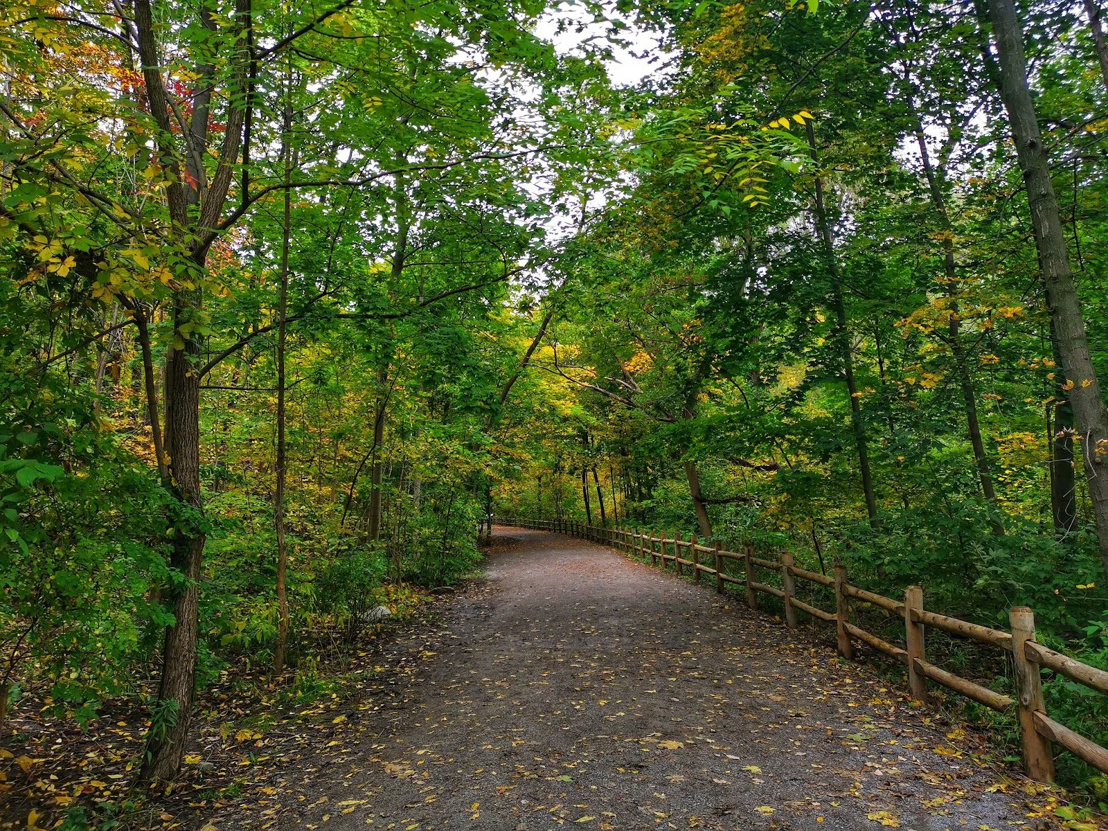 Moore Park Ravine, Toronto