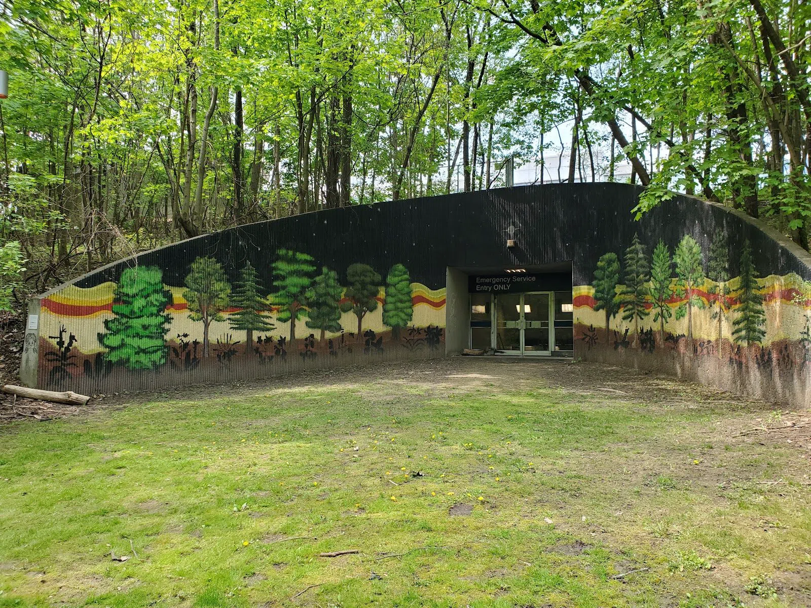 Nordheimer Ravine, Toronto