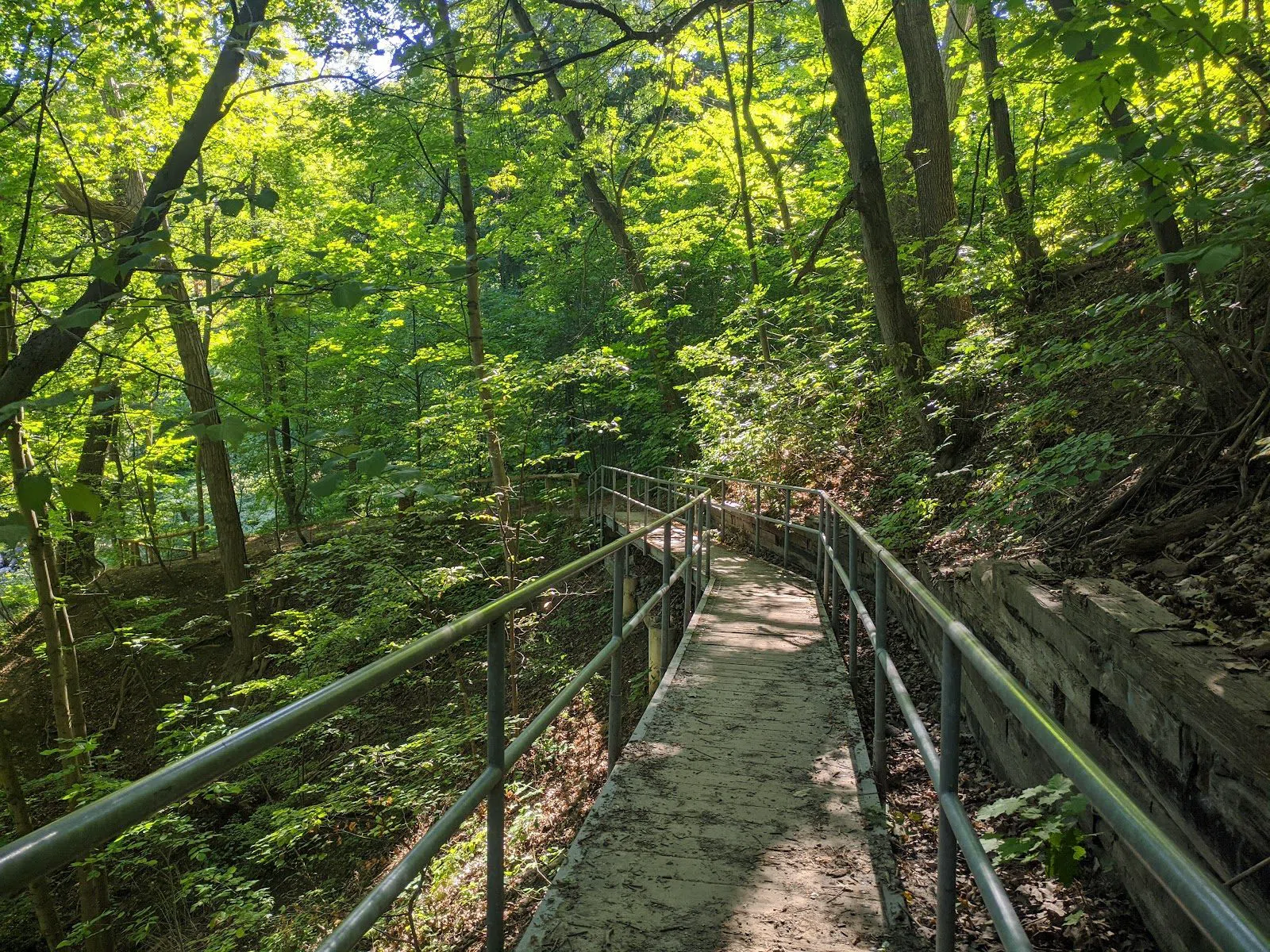 Rosedale Ravine (David A. Balfour Park), Toronto