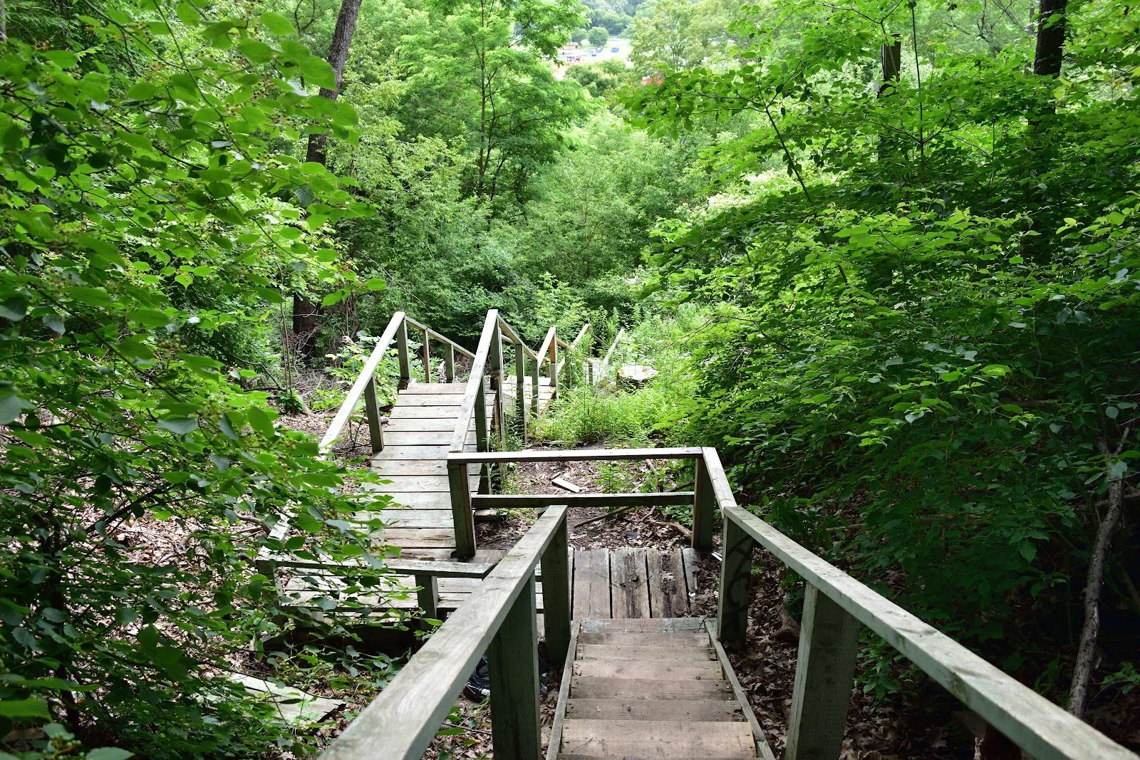 Crothers Woods, Toronto